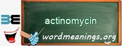 WordMeaning blackboard for actinomycin